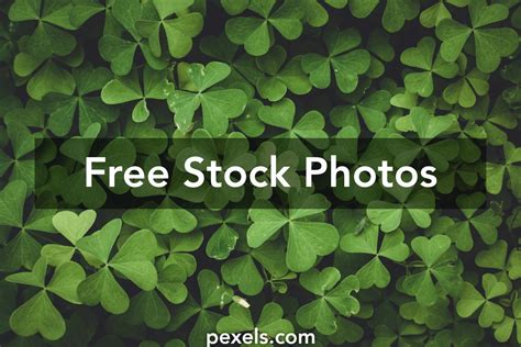 Clovers.Photos Onlyfans Leak [HD] 🍑 226 Vids