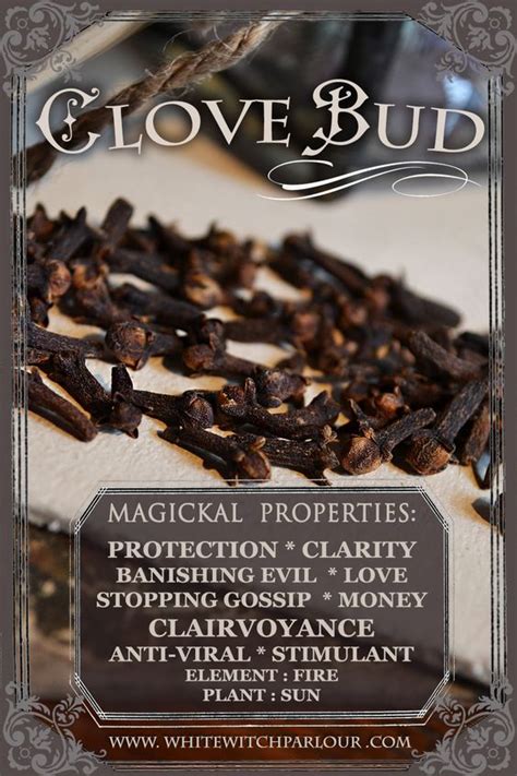 Cloves witchcraft. Things To Know About Cloves witchcraft. 
