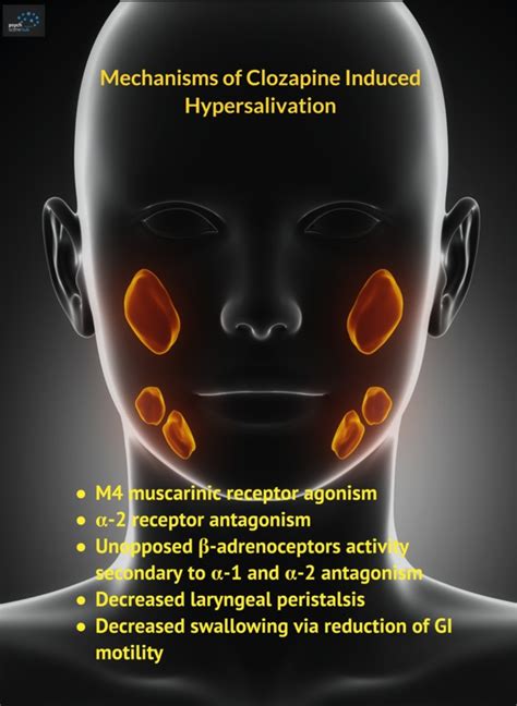 Clozaril and hypersalivation