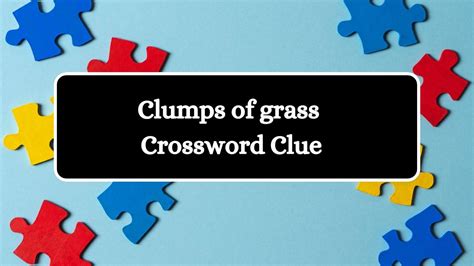 Clump of grass Crossword Clue Answers