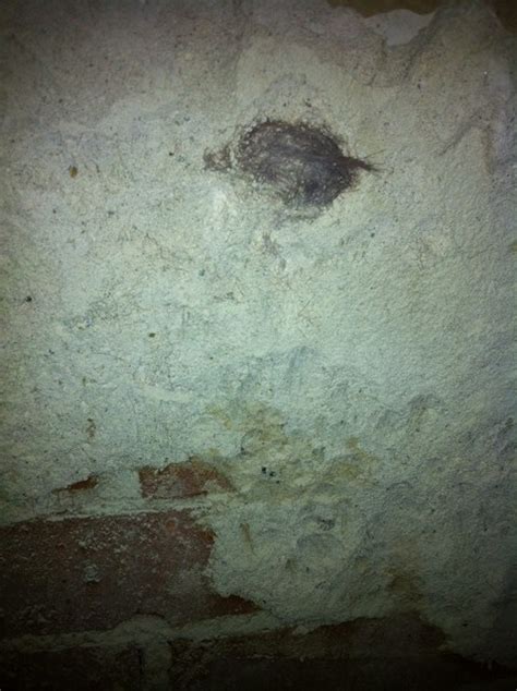 Clump of hair in wall? - Houzz