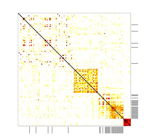 Clustering transactions in Bitcoin and other cryptocurrencies