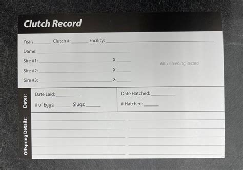 Clutch cards. Email us at clutchcards.shop@gmail.com or chat with us on this website. Buyer is responsible for return shipping, unless product was sent wrong or damaged. Clutch Sporting Goods has the equipment you need to perform from Baseball cleats and … 