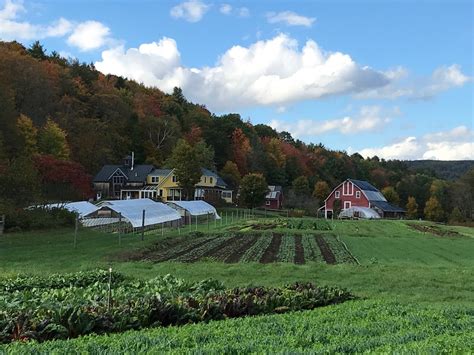 Clyde, OH - Farmers Markets / Family Farms / CSA ... - LocalHarvest