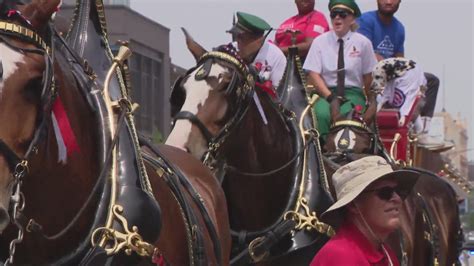 Clydesdales circle Wrigley Field for 'Folds of Honor'