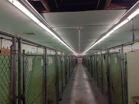 Cny spca office photos. Updated: Jan 28, 2024 / 07:29 PM EST. SYRACUSE, N.Y. (WSYR-TV) – The CNY SPCA took in about 1300 animals last year and is planning to see numbers like it in 2024. On Saturday, Jan. 27, they ... 