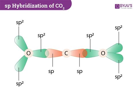 Co2 hybridization of oxygen.  Carbon forms two double bonds with two oxygen at...