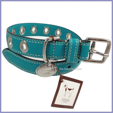 Coach Blue Leather Grommet Dog Pet Collar Size S 60143 eBay