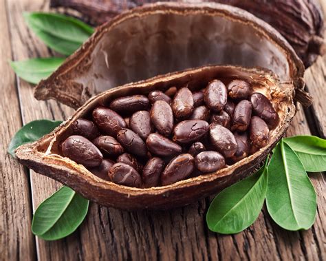 Coacoa. Mar 29, 2018 · Cacao butter (a.k.a. cocoa butter) is made by cold-pressing oil from the cacao bean, creating a smooth and stable fat that, like coconut butter, melts at room temperature. It is commonly used to ... 