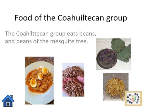 The Coahuiltecans of south Texas and northern Mexico ate agave cactus bulbs, prickly pear cactus, mesquite beans and anything else edible in hard times, including …
