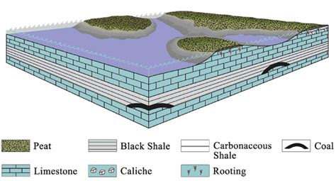 Mar 1, 2023 · Coal and carbonaceous mudstone had larger Pr/Ph ratios and smaller Pr/nC 17 and Ph/nC 18 ratios than coaly shale, indicating a weaker reduction environment, while those of coaly shale had a wider distribution, suggesting a more different depositional environment from weak oxidation-weak reduction to strong reduction conditions. However, the ... . 