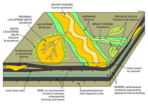 Hence local recycling of the tuffaceous smectite-rich coal measures within the incised alluvial system, assisted by intense weathering under a warm and wet climate, and potentially acid leaching from the organic-rich layers was the origin of the kaolinite-rich clay strata. KEY POINTS. 