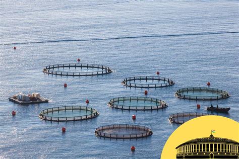 Coastal aquaculture authority. Things To Know About Coastal aquaculture authority. 