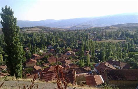 Cobandivan Halı ve Koltuk Yıkama