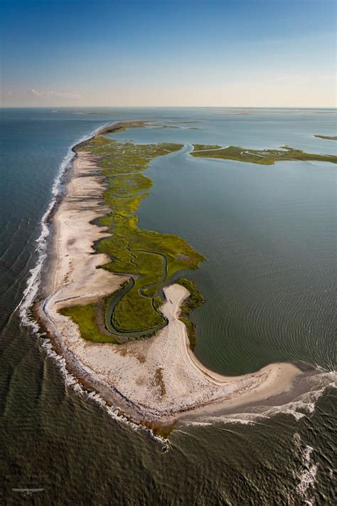 Cobb Island, MD - Niche