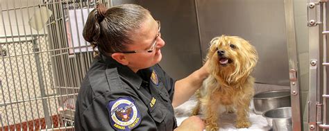 Cobb county animal services. Things To Know About Cobb county animal services. 