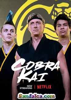 Cobra kai 2 sezon 9 bölüm türkçe dublaj izle