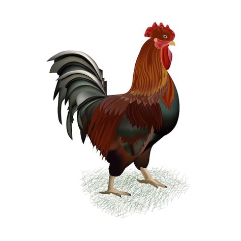 💦 Cock_Art Leaked XxX
