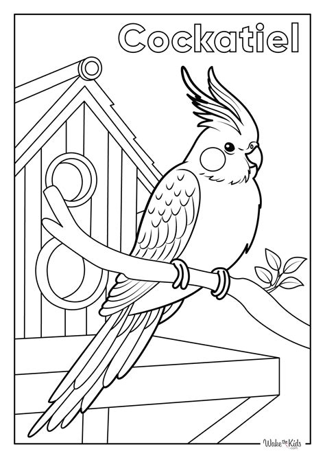 Corn Cob Coloring Page