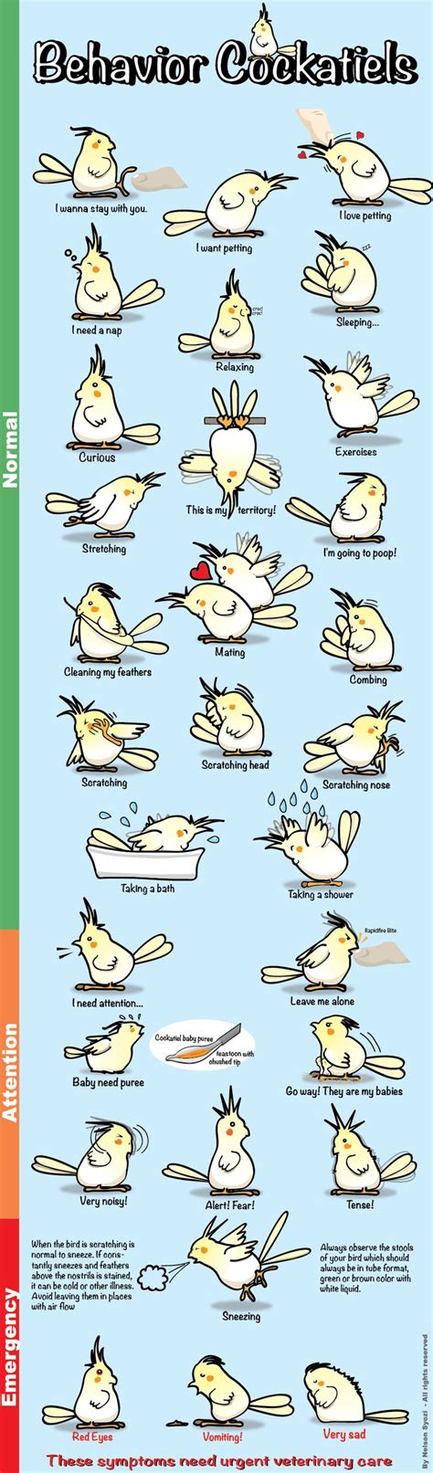Cockatiel Mood Chart