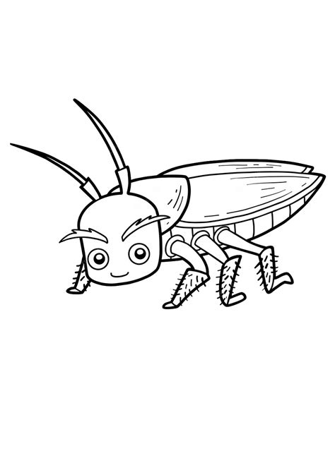 Cockroach Coloring