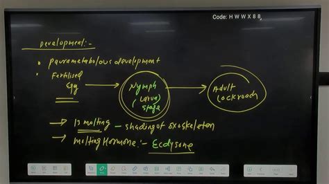 Cockroach Crash Course for NEET 2024 Biology