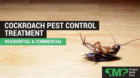 Cockroach Exterminators Roach Control for Homes and Businesses