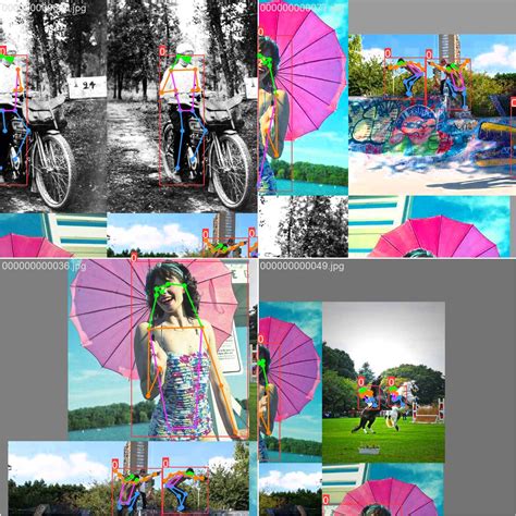 Coco8 dataset download.  With only 8 images (4 for training, 4 for validation)...