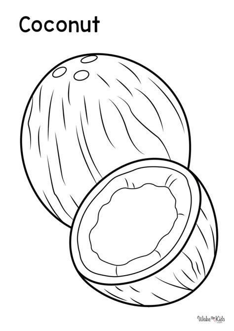 Coconut Coloring Page