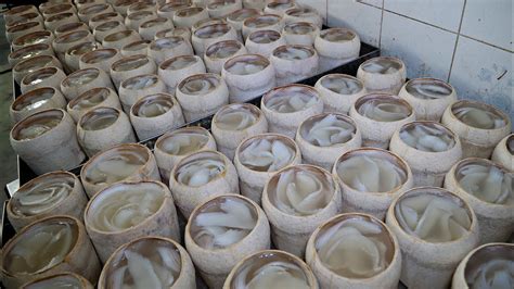 Coconut Factory in Bangkok!!!Coconut cutting, coconut jelly