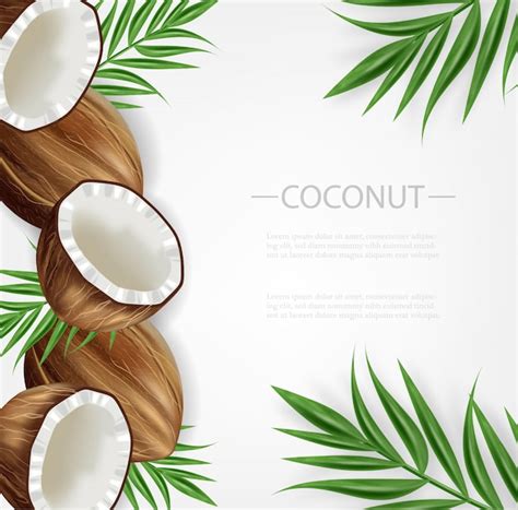 Coconut Template