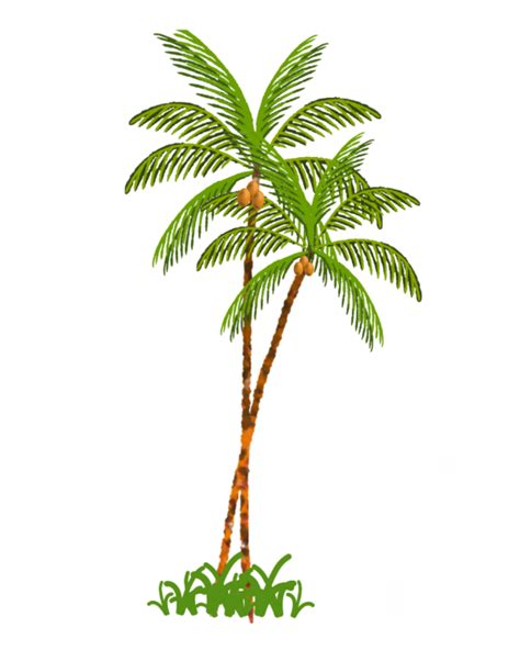 Coconut Tree Png Images - Free Download on Freepik