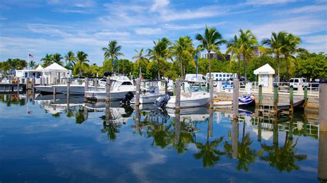 Coconut grove rentals. Things To Know About Coconut grove rentals. 