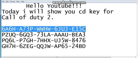 Cod 2 cd key