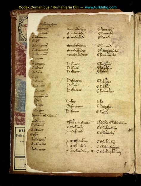 Codex cumanicus üzerine yapılan çalışmalar