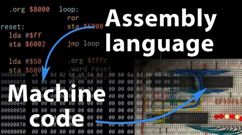 Coding FineProxy Glossary