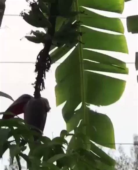 🍆 Codinomeblue Leaks XxX