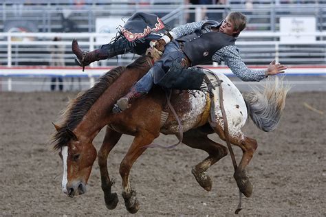 Cody night rodeo. Things To Know About Cody night rodeo. 