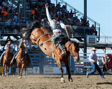 Cody wy rodeo. Whatever your plans for your evening in Cody, we have a ticket for you! For group reservations, e mail Greg@thecodycattlecompany.com. or call (307) 272-5770. 