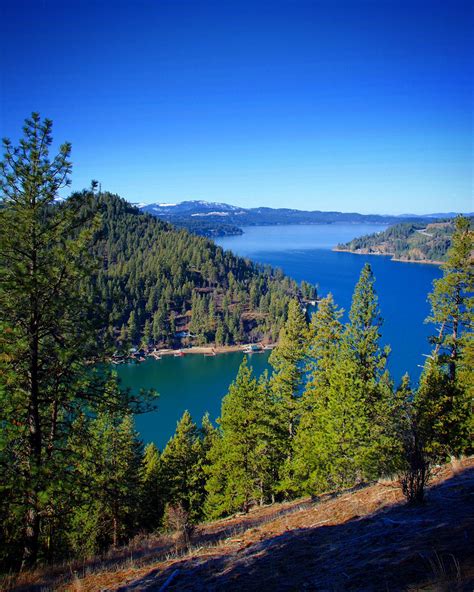 Coeur d'alene lake. Enjoy Lake Coeur d’Alene. If you’re coming to Coeur d’Alene, it’s a given that you’ll need to spend time enjoying the beauty of Lake Coeur d’Alene. It is the second-largest lake in northern Idaho and has 135 miles of shoreline to explore. Fun ways to enjoy the lake include by kayak, boat, stand-up paddleboard, or a lake cruise. 