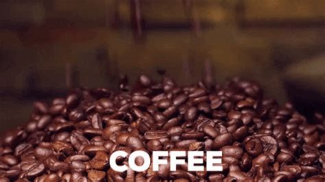 Coffee Bean GIFs - Find & Share on GIPHY