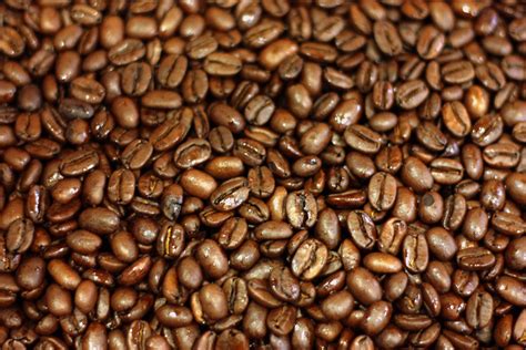 Coffee bean. We’ve got the answers! There are four different types of coffee beans: Arabica, Robusta, Liberica, and Excelsa. The most common (and popular) are Arabica and Robusta, but you might … 