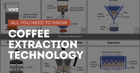 Coffee bean extraction process.  The technique, grind size, In this guide, we’ll explo...