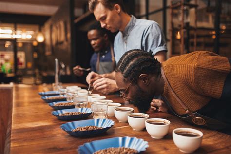 Coffee connoisseur. Many coffee drinkers agree that coffee beans ground right before brewing bring out the fresh flavor in a morning cup of coffee. You don’t have to be a barista to get this kind of f... 