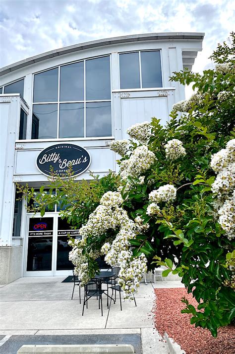 Coffee shops wilmington nc. The largest coffeehouse in all of North Carolina with fresh roast coffee products from hot to... 1415 Dawson St, Wilmington, NC 28401 