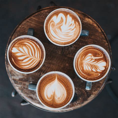 Coffees. Oct 1, 2564 BE ... ​Frappe. Ingredients like espresso, milk, sugar and ice are blended to form a thick cold coffee which is served in a latte glass after ... 