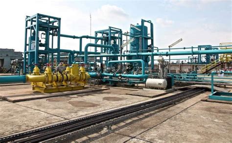 Cogen Halı ve Koltuk Yıkama