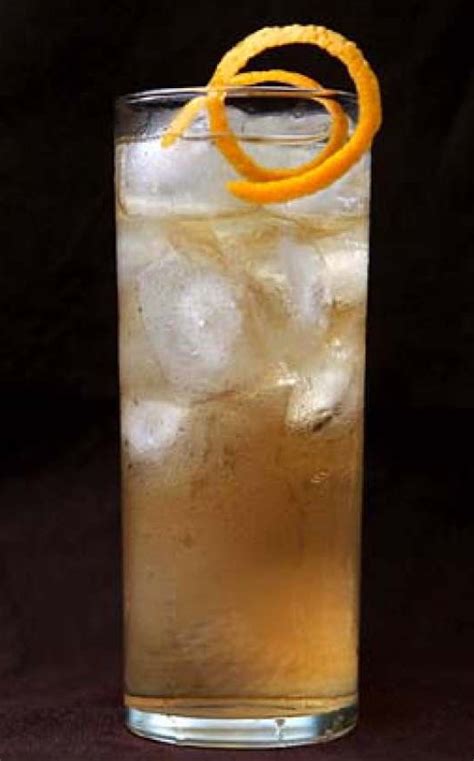 Cognac Highball Mr. Boston Drinks