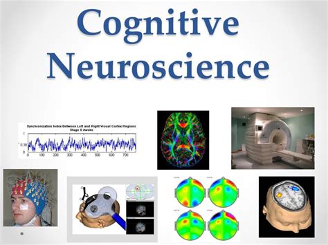 Cognitive neuroscience society. Cognitive Neuroscience Society c/o Center for Mind and Brain 267 Cousteau Place, Davis, CA 95618 844-426-8880: Office Phone; Monday-Friday, 9:00 am - 5:00 pm 844-426-8880: Fax Line email: meeting@cogneurosociety.org. Recent Posts. Great Expectations: How Our Prior Experiences Shape Our Reality; 