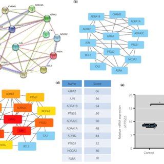 Cognitive protection of sinomenine in type 2 diabetes mellitus …